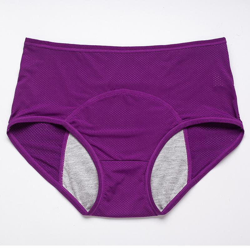 🔥Compra 5 y llévate 5 gratis🔥Bragas de cintura alta a prueba de fugas para mujer