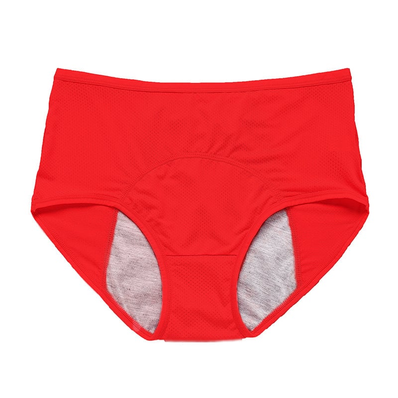 🔥Compra 5 y llévate 5 gratis🔥Bragas de cintura alta a prueba de fugas para mujer