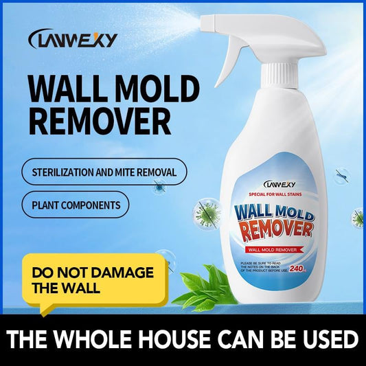 🏠⏳50% off for a limited time⏰Highly effective mold remover spray