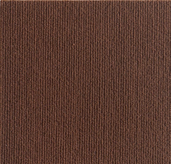 🔥Puede Proteger Muebles -Alfombrilla Para Rascar Gatos