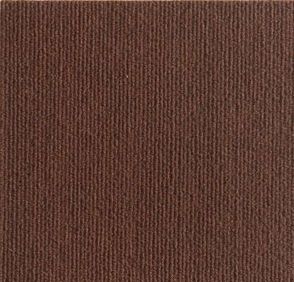 🔥Puede Proteger Muebles -Alfombrilla Para Rascar Gatos