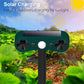 Alarmas de exterior con sensor de movimiento solar para repeler