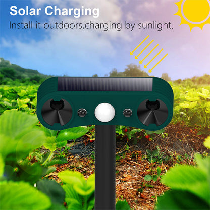Alarmas de exterior con sensor de movimiento solar para repeler