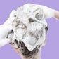 Deep Moisture Refreshing Dandruff Control Shampoo