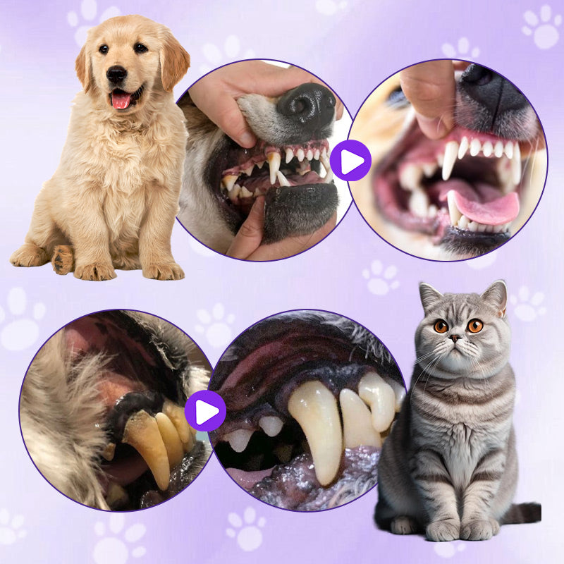 Cepillo de dientes para mascotas