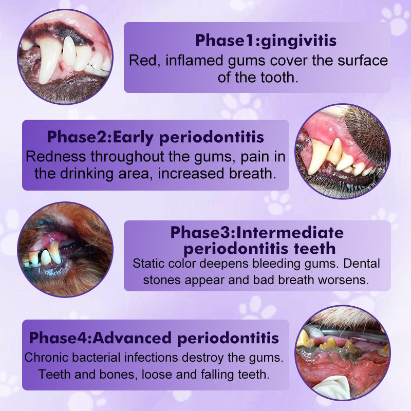 Cepillo de dientes para mascotas