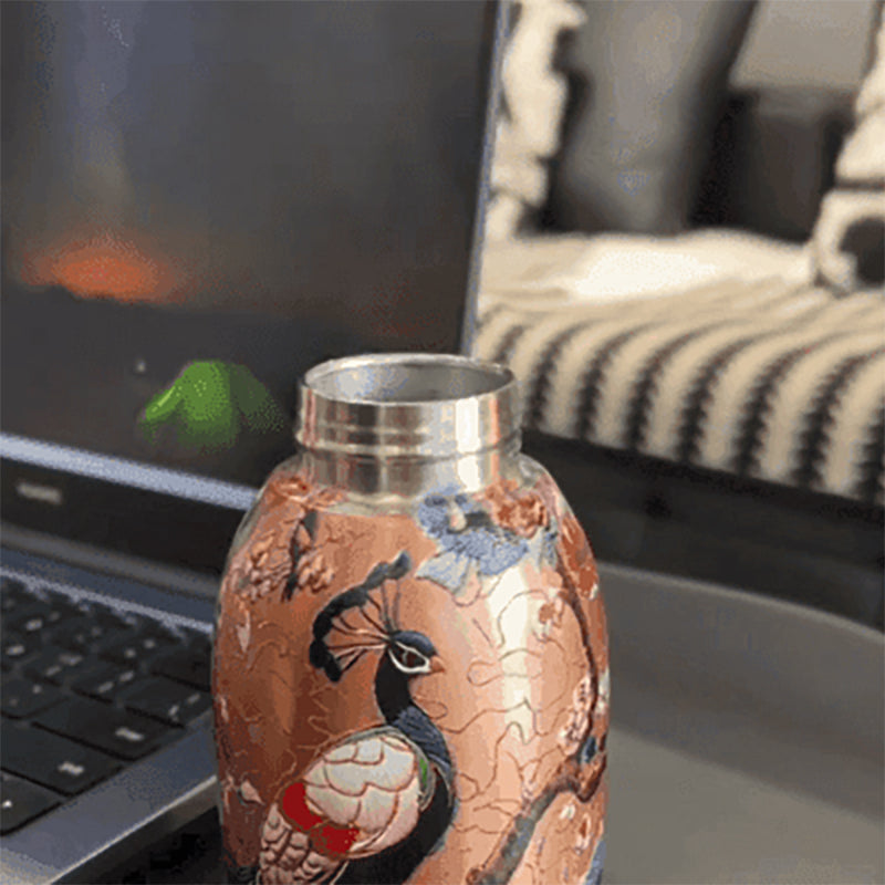 🎁Venta caliente 49% OFF🔥Botella de agua con aislamiento, elegante y portáti