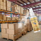 Spray repelente de roedores con aceite de menta