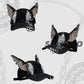 Gorra de béisbol Creative Cat Ear Distressed
