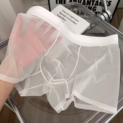 ⏳ ¡50% de descuento por tiempo limitado! 💥Boxers transparentes de seda de hielo para hombre（Cuanto más compres, mayor será el descuento）