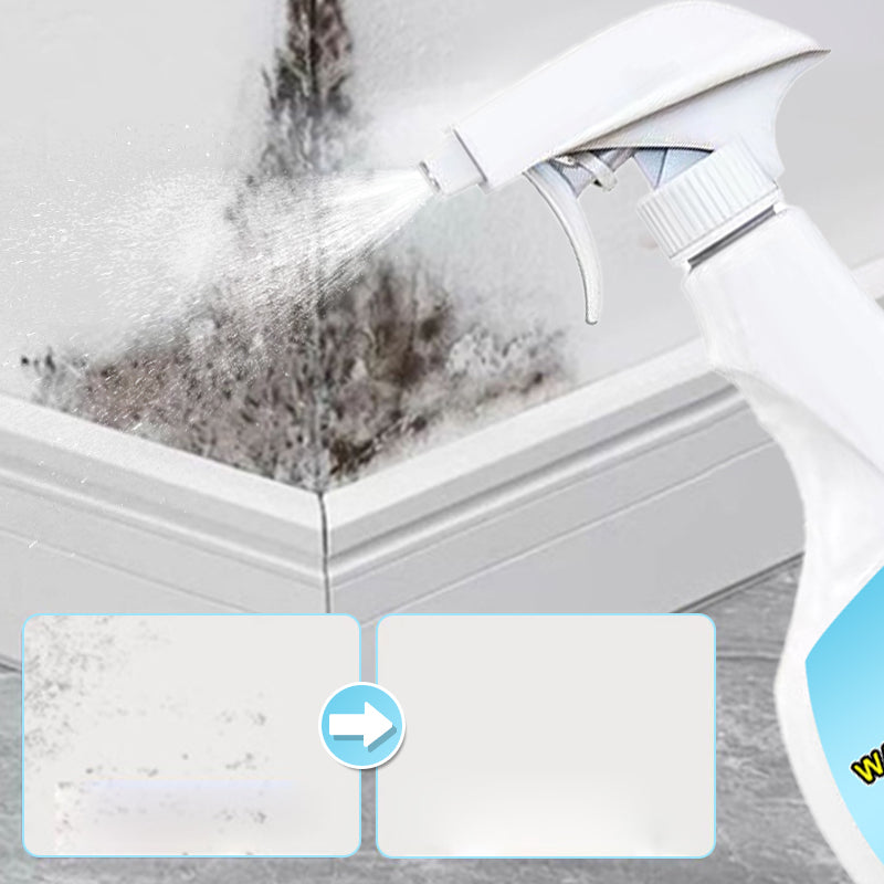 🔥2025 Hot Sale🔥 Powerful Wall Stain and Mold Remover