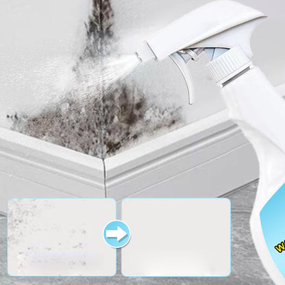 🔥2025 Hot Sale🔥 Powerful Wall Stain and Mold Remover