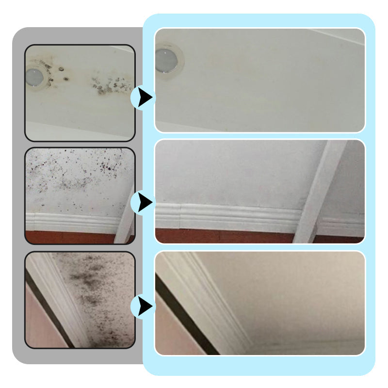 🔥2025 Hot Sale🔥 Powerful Wall Stain and Mold Remover
