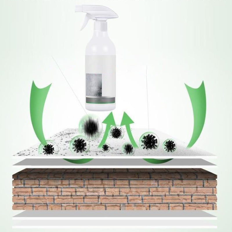 Spray para eliminar el moho de las paredes éxito