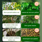 🔥Polvo de enraizamiento y floración rápidos - Compra 3 Llévate 2 Gratis