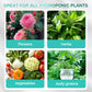 Solución nutritiva hidropónica para el crecimiento de las plantas💧💦