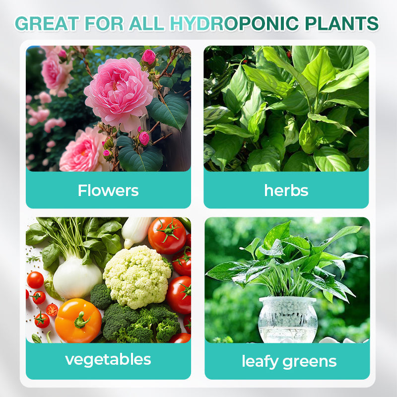 Solución nutritiva hidropónica para el crecimiento de las plantas💧💦