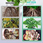 Solución nutritiva hidropónica para el crecimiento de las plantas💧💦