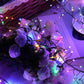 Luces de Decoración de Ventanas Navideñas