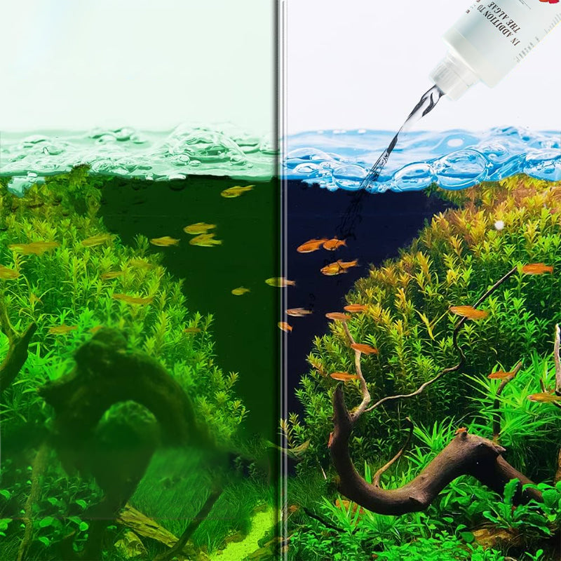 Purificador de agua para acuarios - Nitrificante bacteriano y eliminador de algas