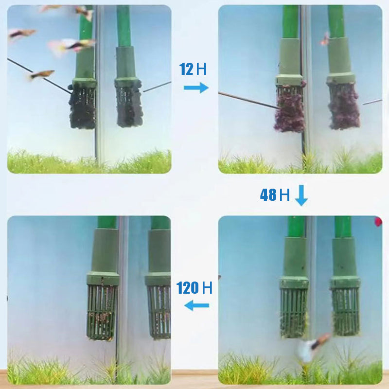 Purificador de agua para acuarios - Nitrificante bacteriano y eliminador de algas