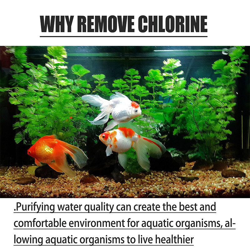 Estanques para peces Acuarios Pastillas para eliminar el cloro