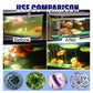 Estanques para peces Acuarios Pastillas para eliminar el cloro