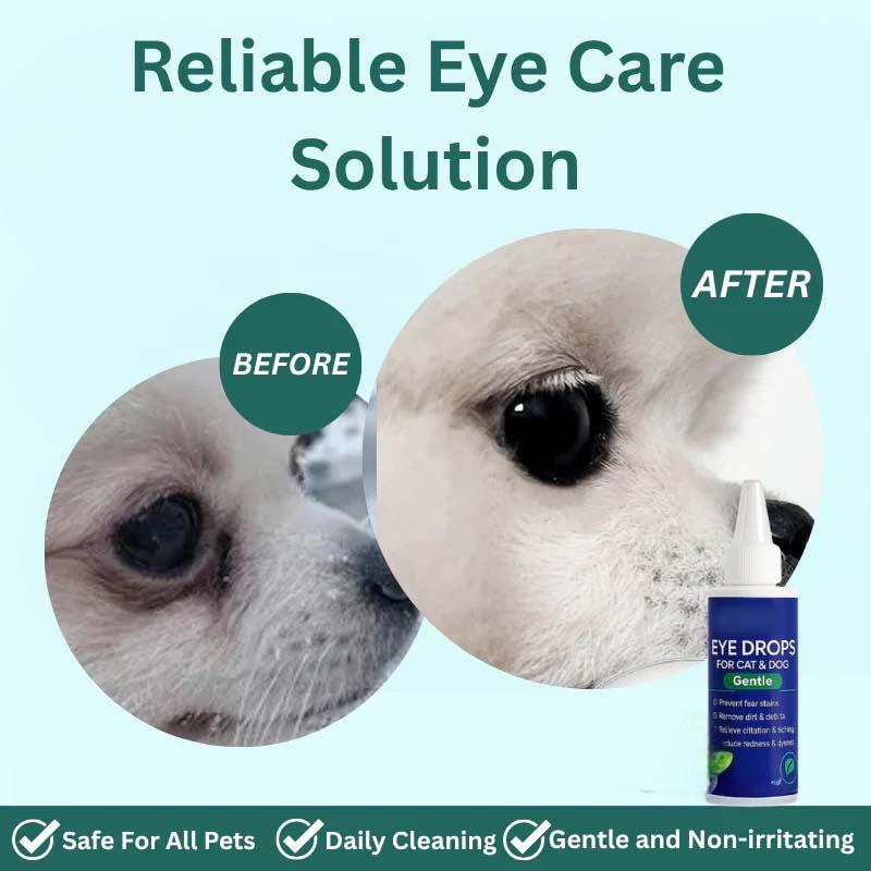 Gotas Oculares para Perros y Gatos 🐕🐈👁️