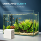✨ TOALLITAS CLARIFICADORAS PARA ACUARIO - Agua cristalina en 24 horas, elimina olores e impurezas, seguras para todos los peces y plantas 🌿🔮