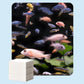 ✨ TOALLITAS CLARIFICADORAS PARA ACUARIO - Agua cristalina en 24 horas, elimina olores e impurezas, seguras para todos los peces y plantas 🌿🔮