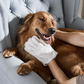 Guantes desodorizantes para la limpieza de mascotas sin enjuague