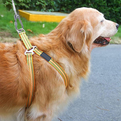 Cable de sujeción resistente para perros
