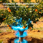 Fertilizante de Liberación Controlada para Frutas