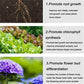 Tabletas de Fertilizante de Liberación Lenta Multiusos para Plantas