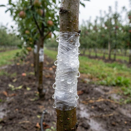 Cinta para Injertos Autoadherible, Elástica y Biodegradable