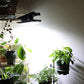 Lámparas Solares para Exterior con Clip y Sensor de Movimiento