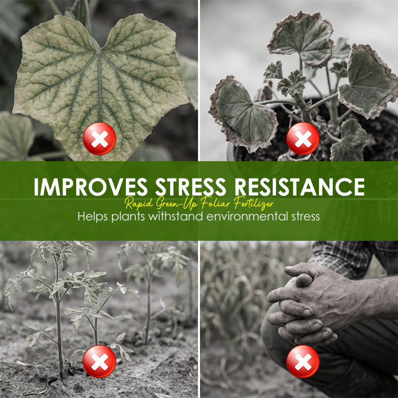 Fertilizante Foliar de Rápido Reverdecimiento