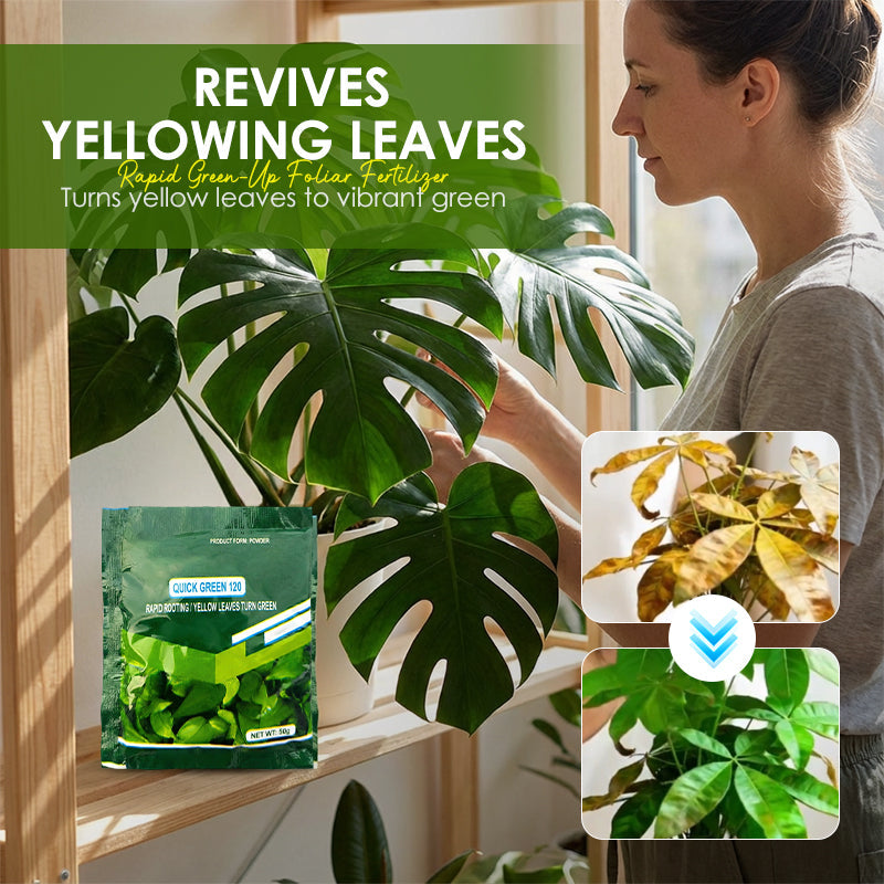 Fertilizante Foliar de Rápido Reverdecimiento