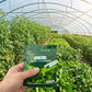 Fertilizante Foliar de Rápido Reverdecimiento