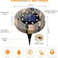 🔥Oferta por tiempo limitado: luces solares para jardín: ilumina tu jardín sin gastar ni un céntimo en electricidad.