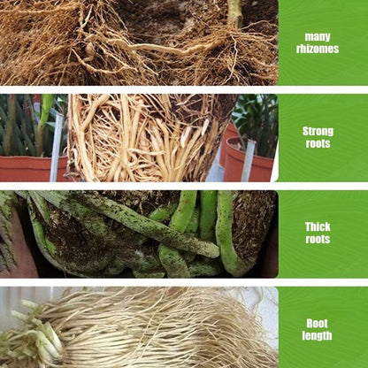 Solución de Enraizamiento Universal para Todas las Plantas