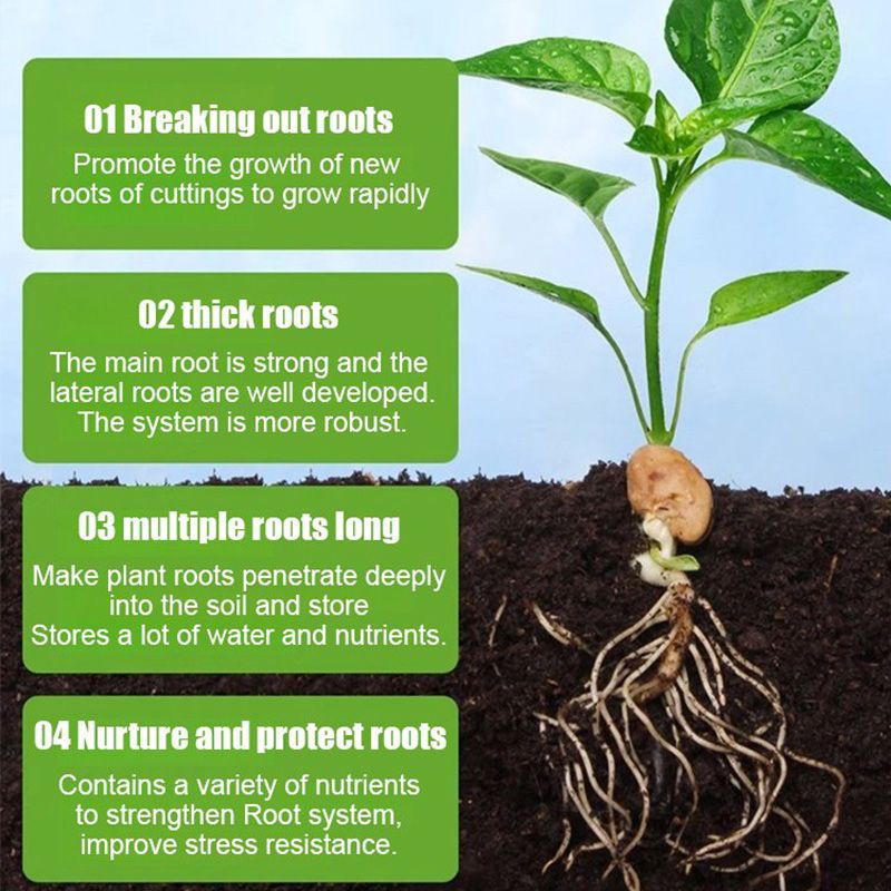 Solución de Enraizamiento Universal para Todas las Plantas