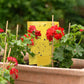 Trampas Pegajosas Amarillas (20 Piezas) - Doble Cara para Insectos y Plagas de Plantas