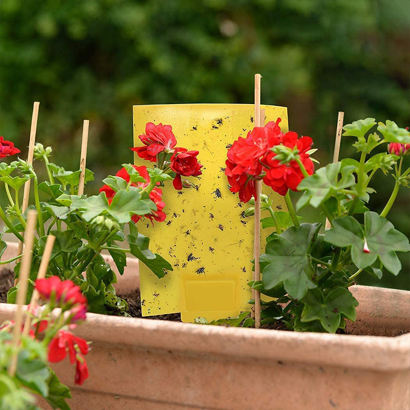 Trampas Pegajosas Amarillas (20 Piezas) - Doble Cara para Insectos y Plagas de Plantas