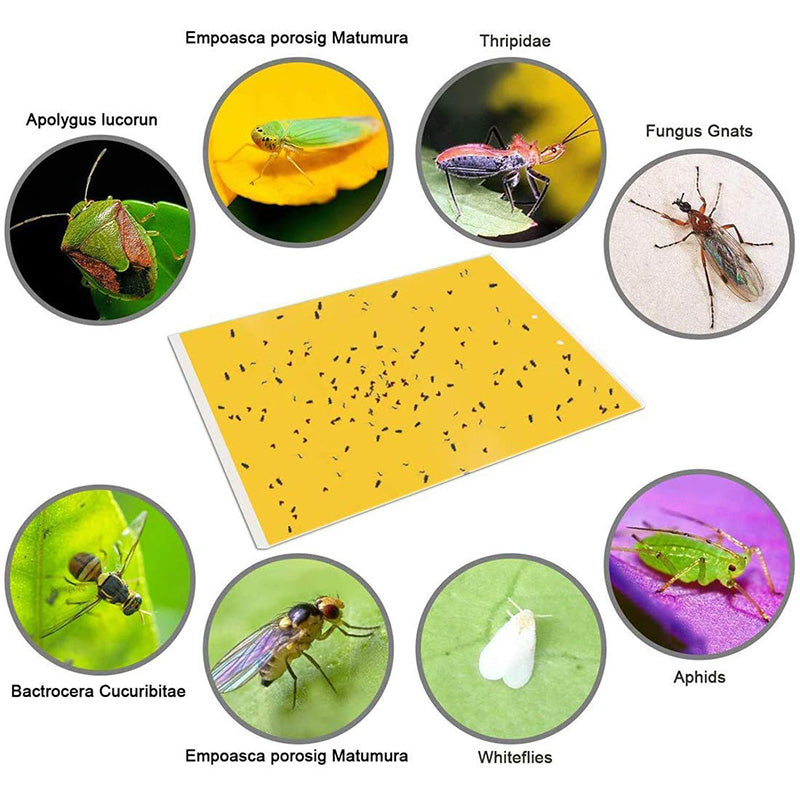 Trampas Pegajosas Amarillas (20 Piezas) - Doble Cara para Insectos y Plagas de Plantas