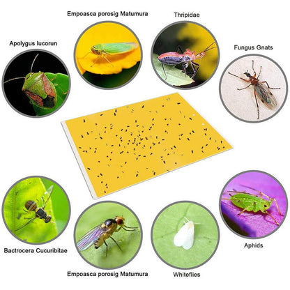 Trampas Pegajosas Amarillas (20 Piezas) - Doble Cara para Insectos y Plagas de Plantas