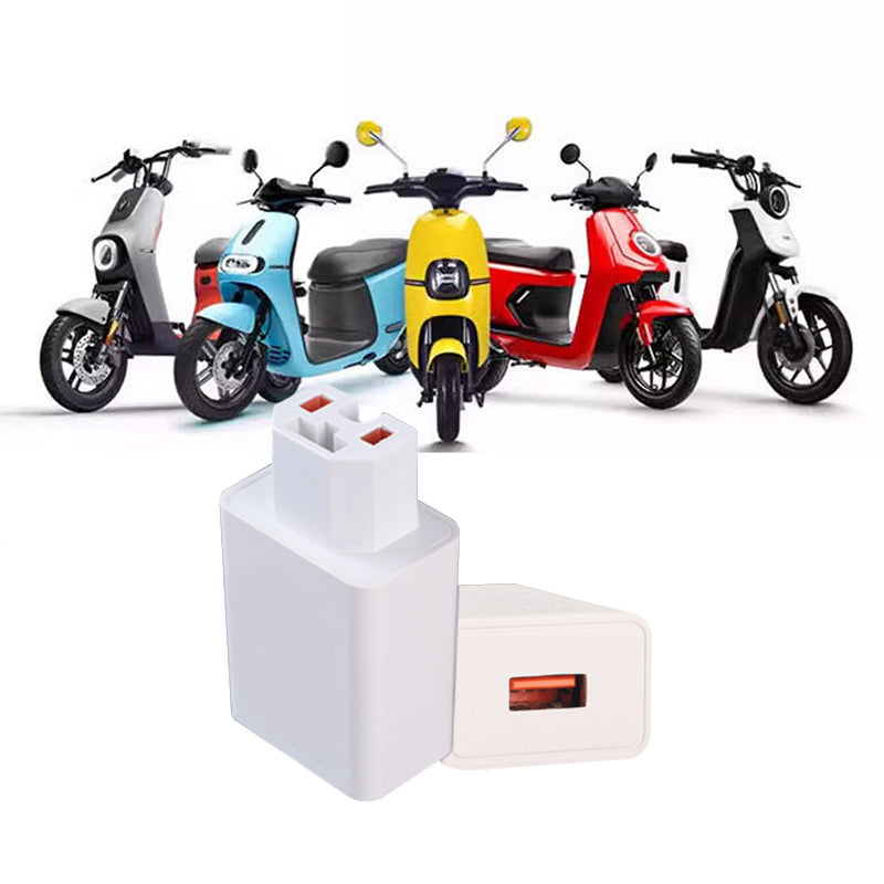 Electric Vehicle USB Charger