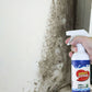 Spray Eliminador de Moho de Paredes