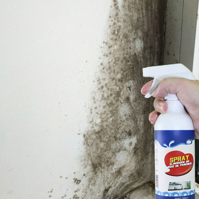 Spray Eliminador de Moho de Paredes