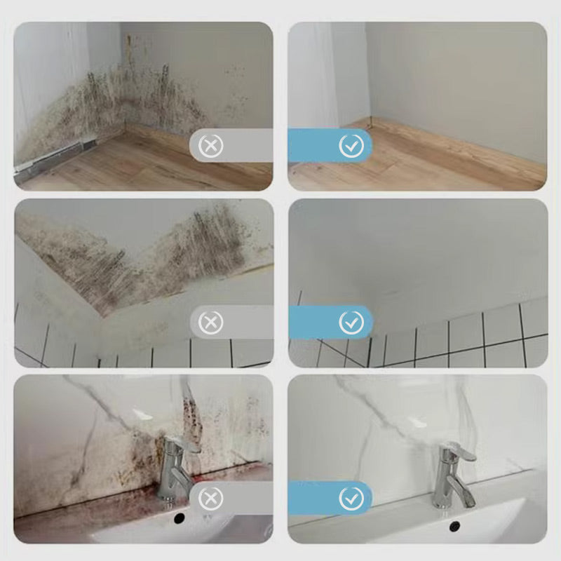 Spray Eliminador de Moho de Paredes